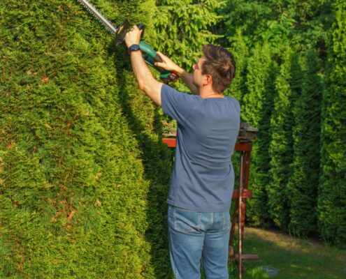 Heckenschnitt Poing: Rückschnitt mit der Elektro-Heckenschere an einer hohen Hecke