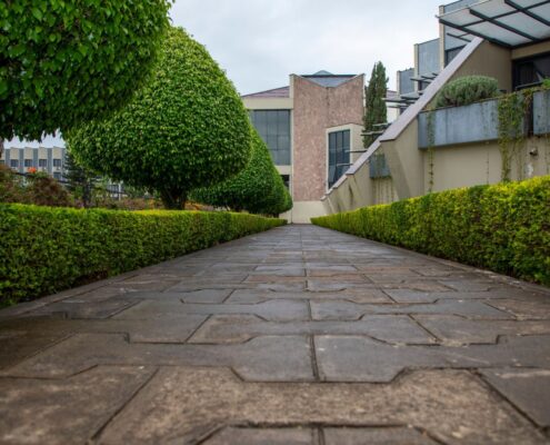 Hausmeisterservice Zorneding: gepflegte Hecke entlang eines Gehwegs