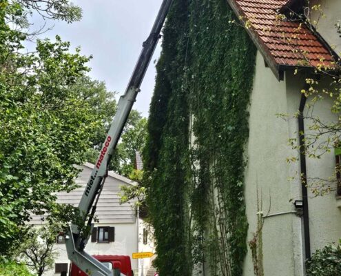 Hubarbeitsbühne beim Entfernen von Bewuchs an einer Hausfassade