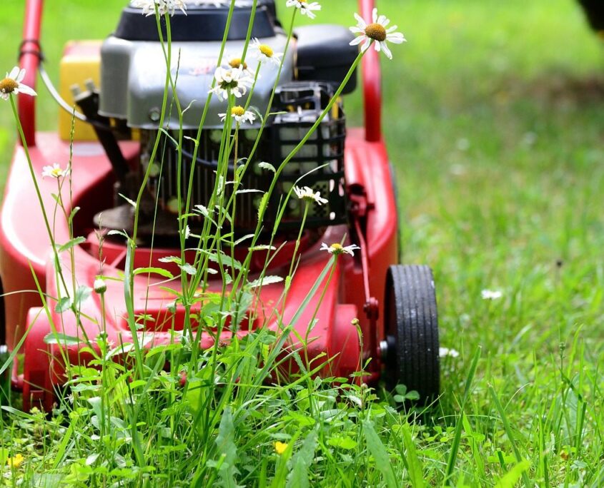lawn mower 5329533 1280 Rasenmäher auf gepflegtem Rasen — Grünflächenpflege Ebersberg