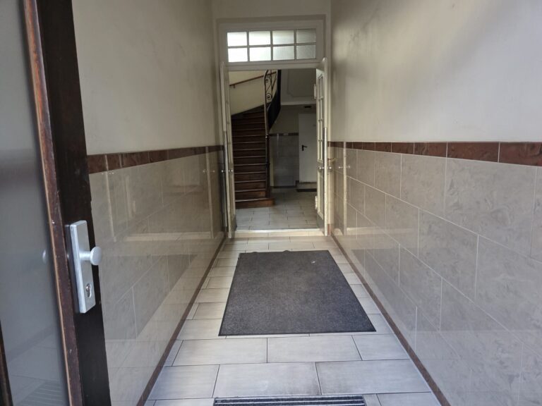 Gereinigter Hauseingang mit Fliesenboden, Fußmatten und Blick ins Treppenhaus