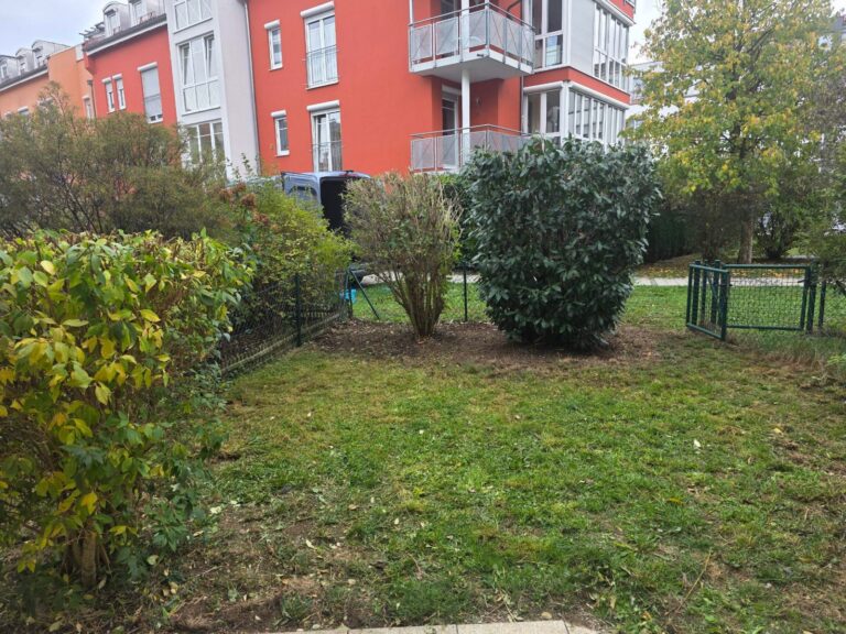 Kirschlorbeer und Strauch nach dem Rückschnitt, Rasen gemäht